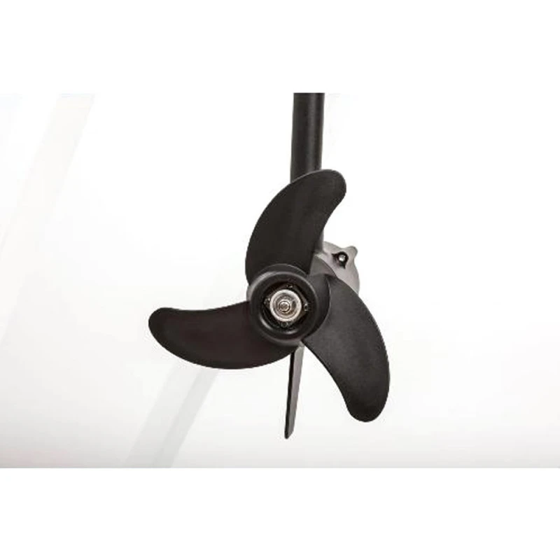 MOTEUR HASWING PROTRUAR 2.0 85 LBS 4 MOTEUR HASWING PROTRUAR 2.0 85 LBS – Image 4