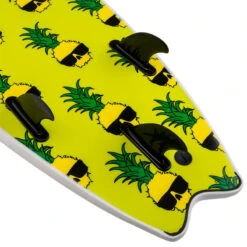 SURF CATCH SURF BEN GRAVY PERFORMER 6.6 5 SURF CATCH SURF BEN GRAVY PERFORMER 6.6 -Default Template 3 surf catch surf ben gravy performer 66 2